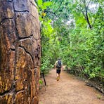 Monsoon Walk Trail, East Point