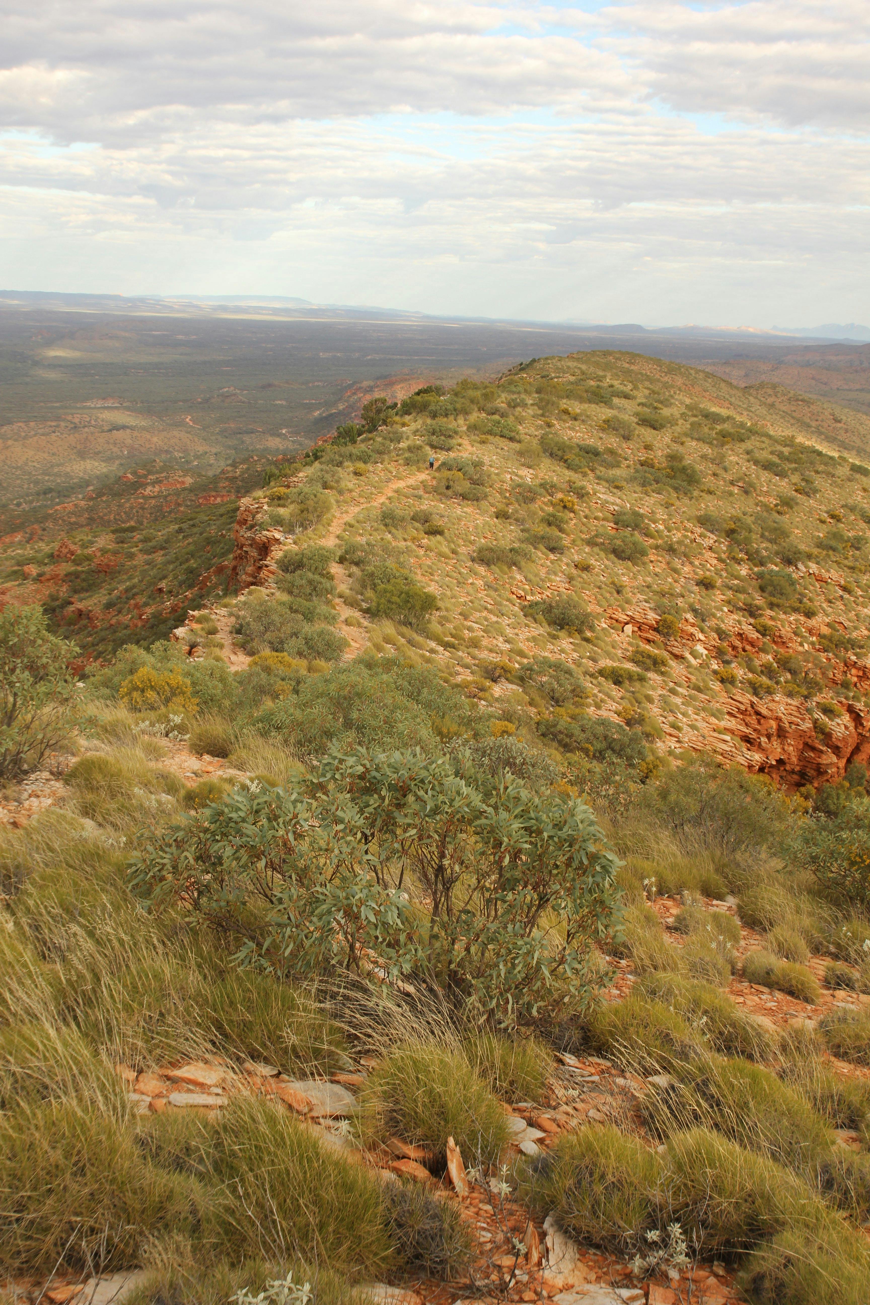 Larapinta Trail by Australian Walking Holidays