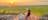 Ubirr Lookout- Kakadu National Park