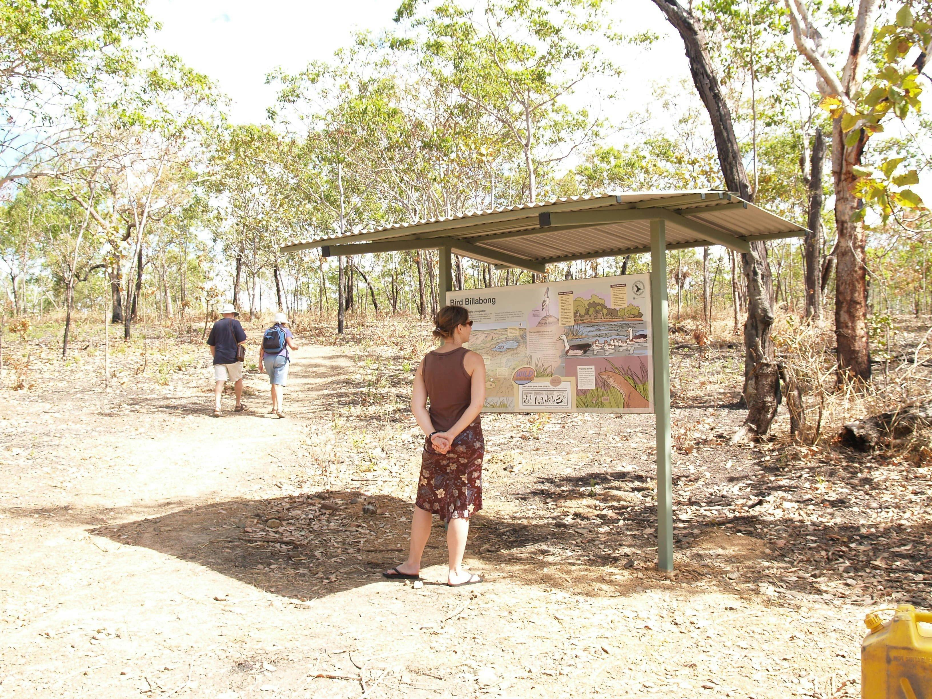 Bird Billabong, Mary River area, Northern Territory, Australia