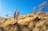 Rocky Bar Gap