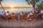 Venture North Safaris