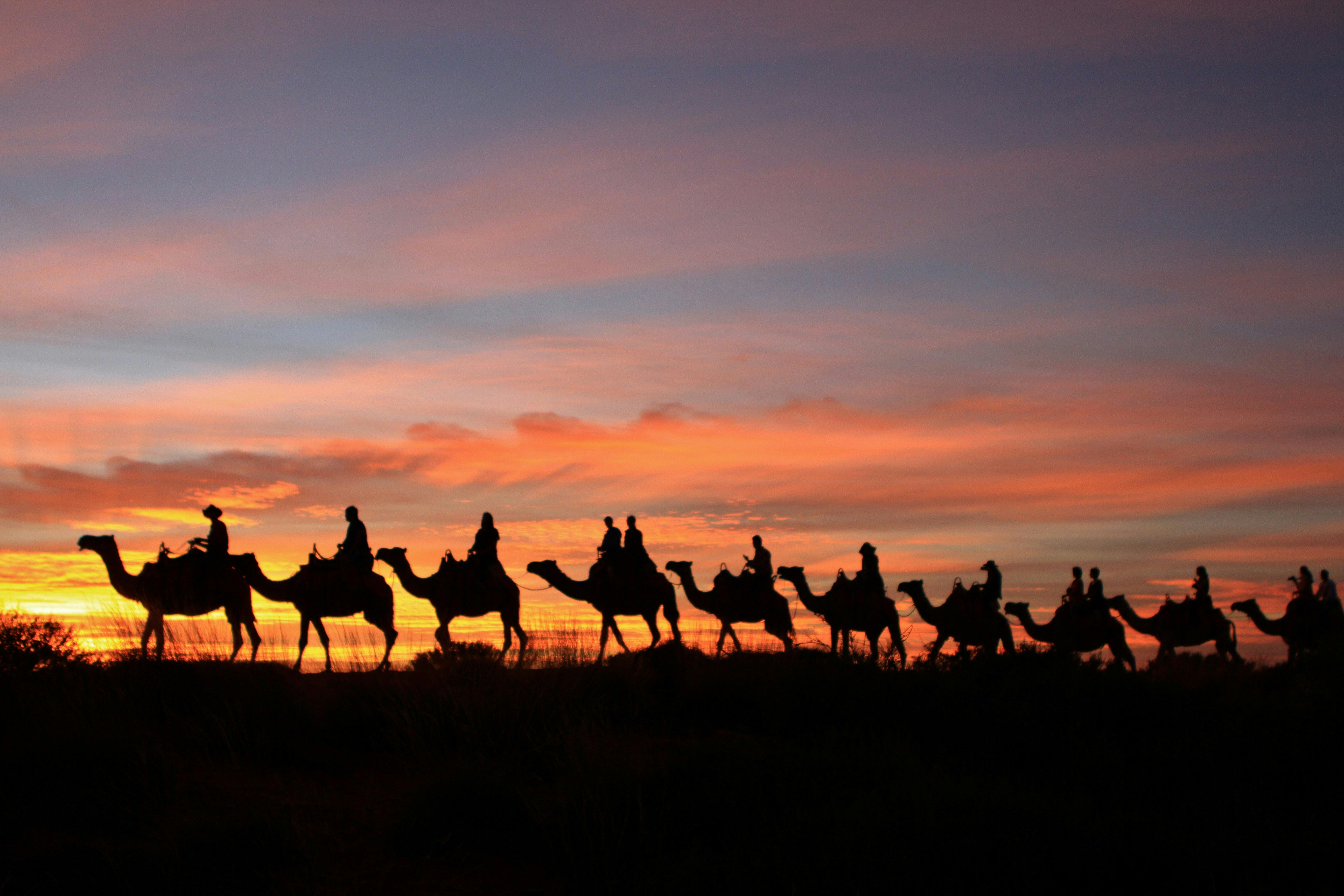 Uluru Camel Tours