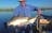 1 Day Fishing Tour - Darwin and Surrounds