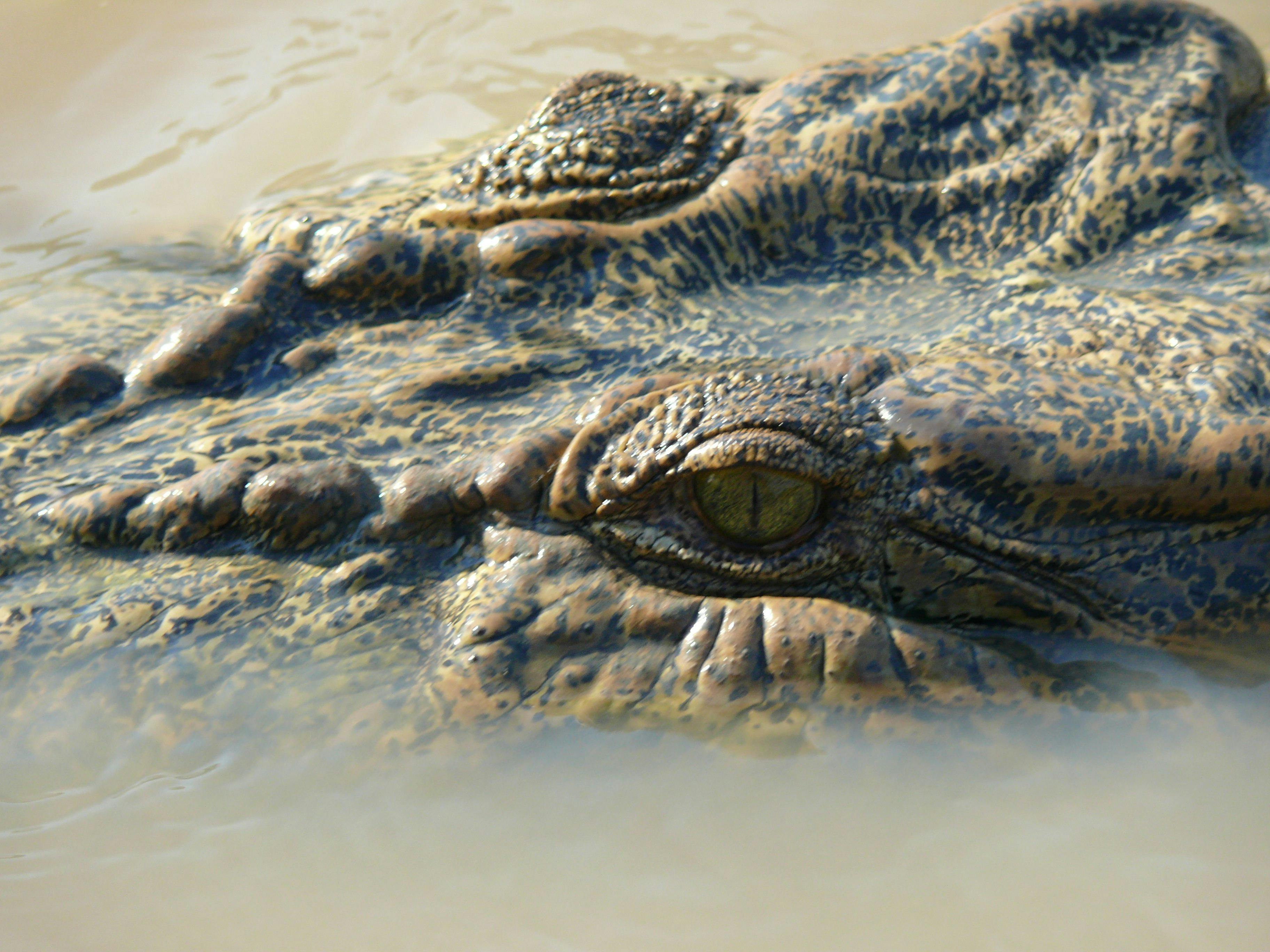 Darwin's North Australia Barra Fishing