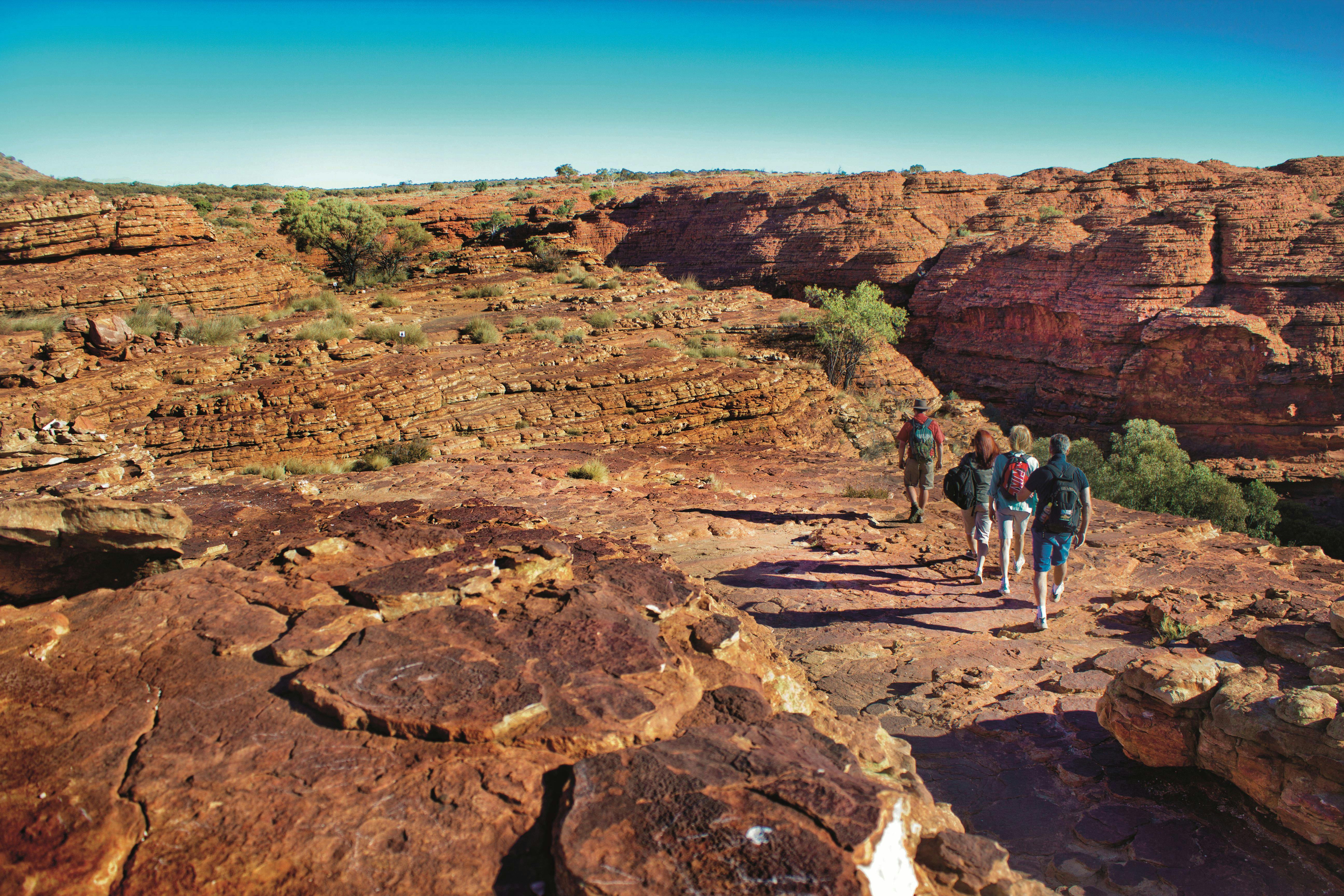 AAT Kings Day Tours (Red Centre)