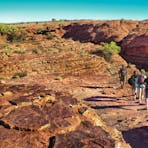 AAT Kings Day Tours (Red Centre)