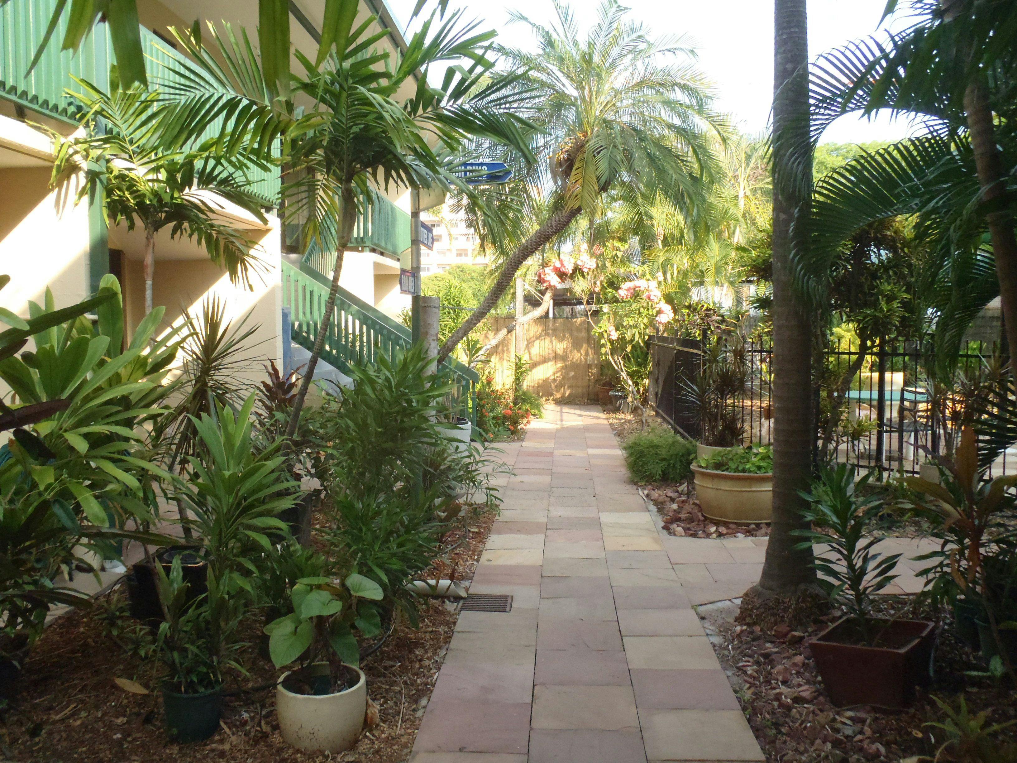 Tropical Pathways