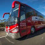Greyhound Australia Coach