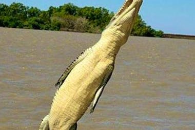 Flying Crocs