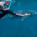 Diving with Whale Sharks Kapalga Travel