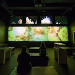 War_Musuem_Darwin