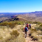 Hikers on the track