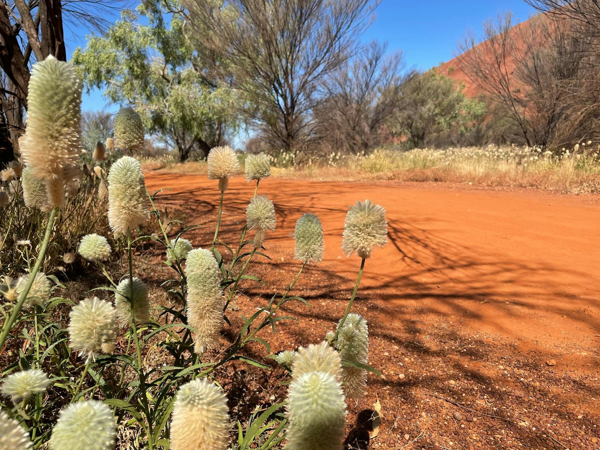 Uluru Base Walk