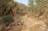 Larapinta Experience in Comfort - 3 Days