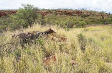 Remains of a stonework structure, in ruins and overgrown with grasses.