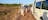 Kakadu Bird Week Tours