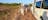 Birding Tours Kakadu