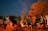 Uluru Tour with Kata Tjuta & Kings Canyon (Eco Tent) - Alice Springs to Yulara