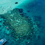 Xplorer and guests swimming in Ashmore Reef
