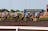 Ladbrokes Darwin Cup Calcutta