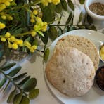 Bush Food Damper