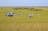 Mary River Wetlands Adventure Flight