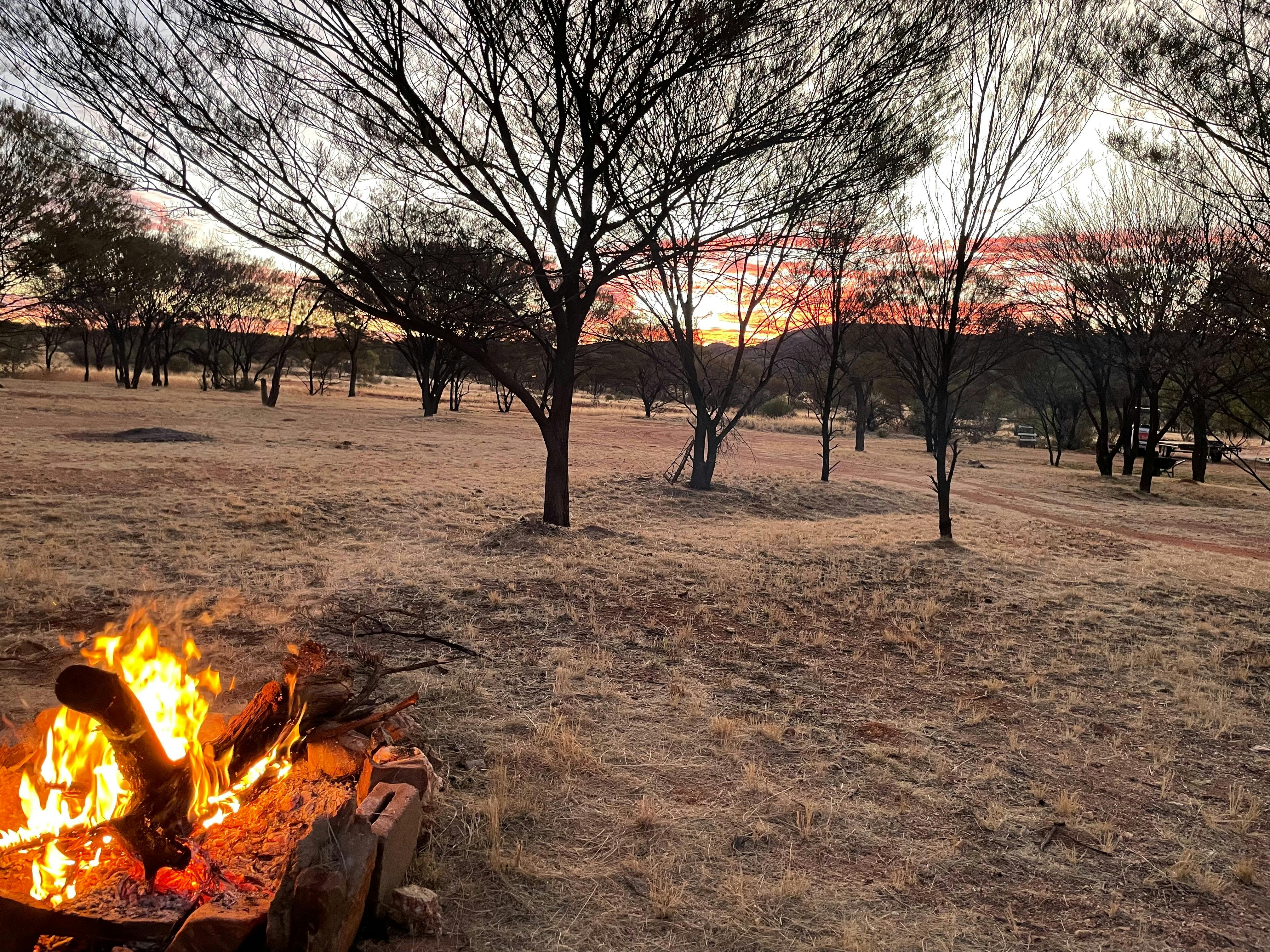 Explore Arltunga Historical Reserve, Ruby Gap Nature Park, go gold fossicking and hot showers.