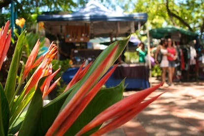 Nightcliff Markets