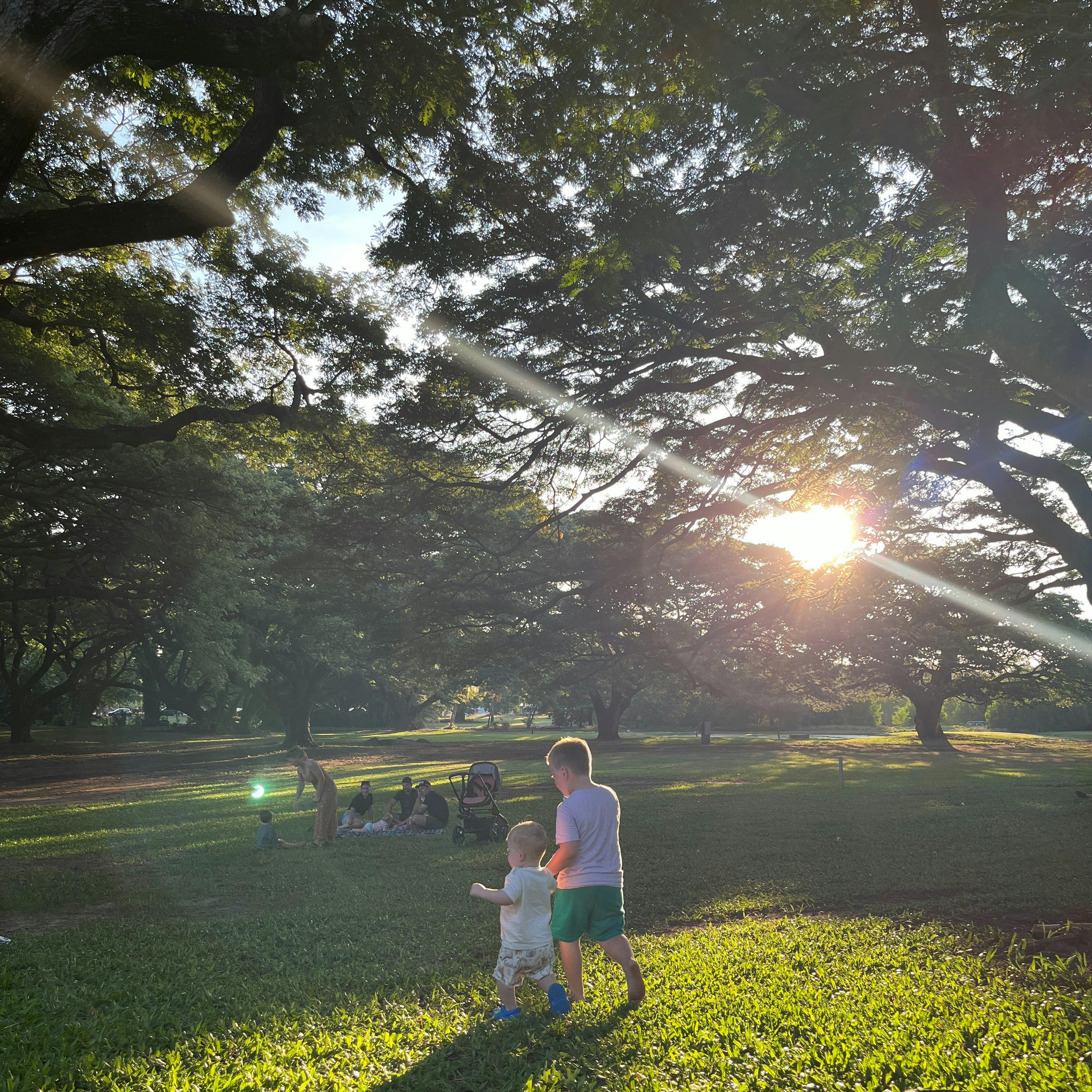 George Brown Botanic Gardens during Live Fire BBQ Festival