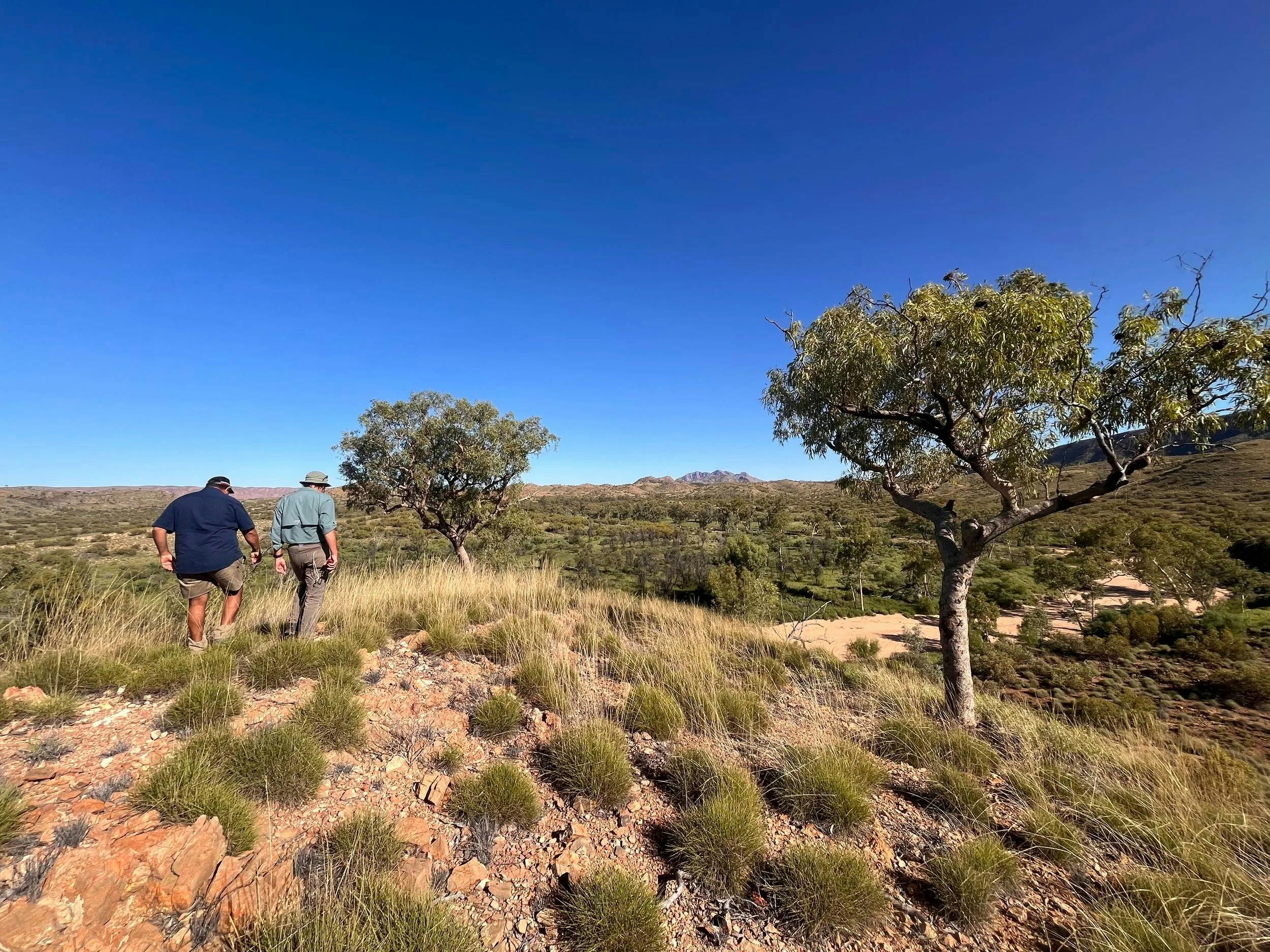 Two people walking on Arrarnta Country
