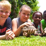 tortoise experience