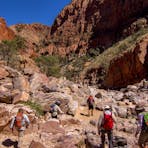 Larapinta trail group hiking