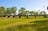 Katherine Railway Trestle Bridge