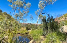 Wallaby Gap_Larapinta Trail