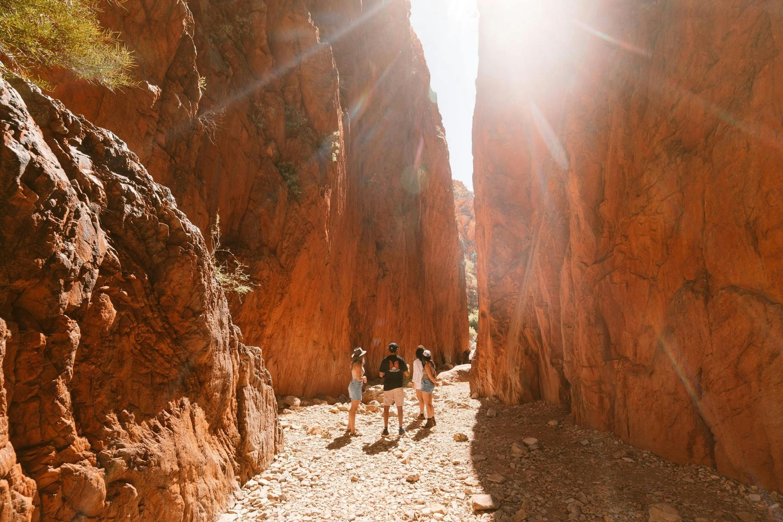 Angkerle Atwatye/Standley Chasm Tour