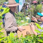 Browsing plants