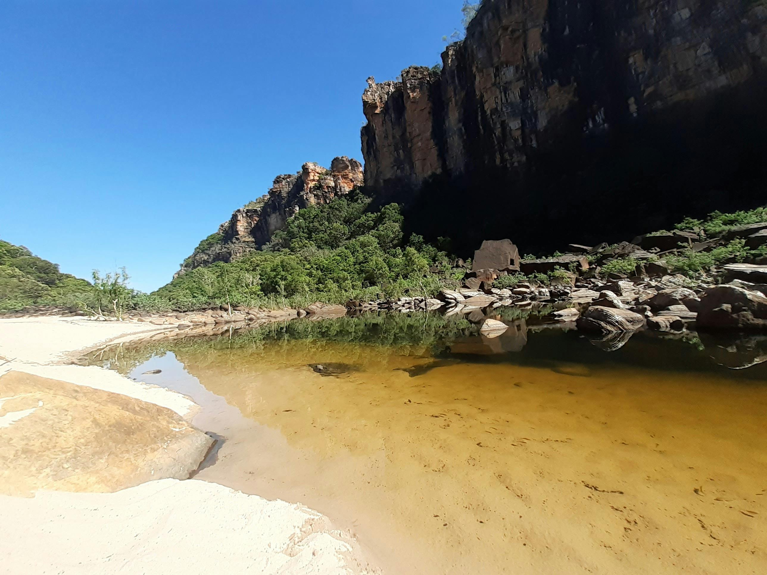 Never Never Safari Tours