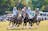 Polocrosse Australia Nationals