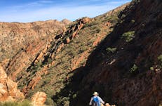 brad high tailing super six