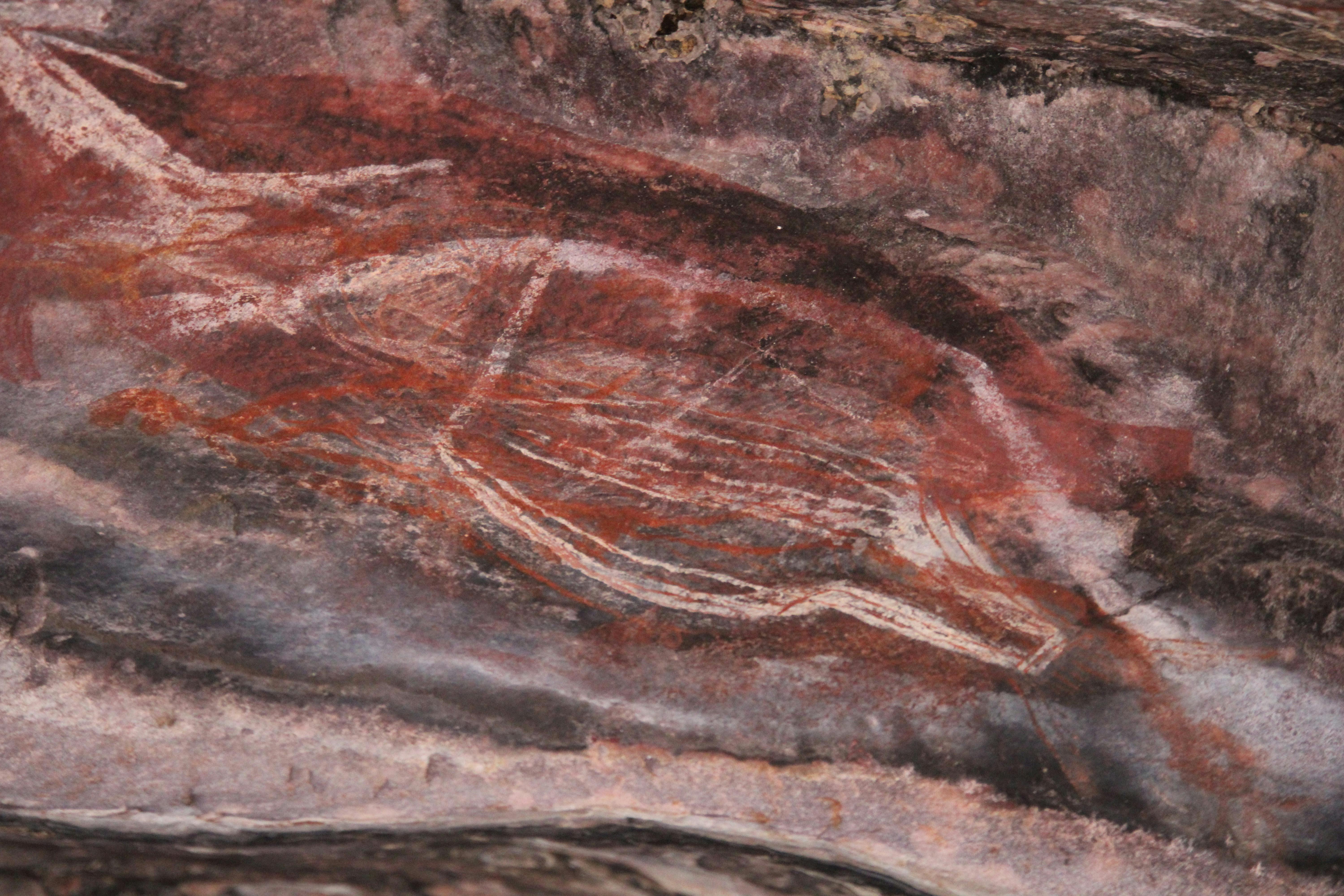 Kakadu Rock Art Tour