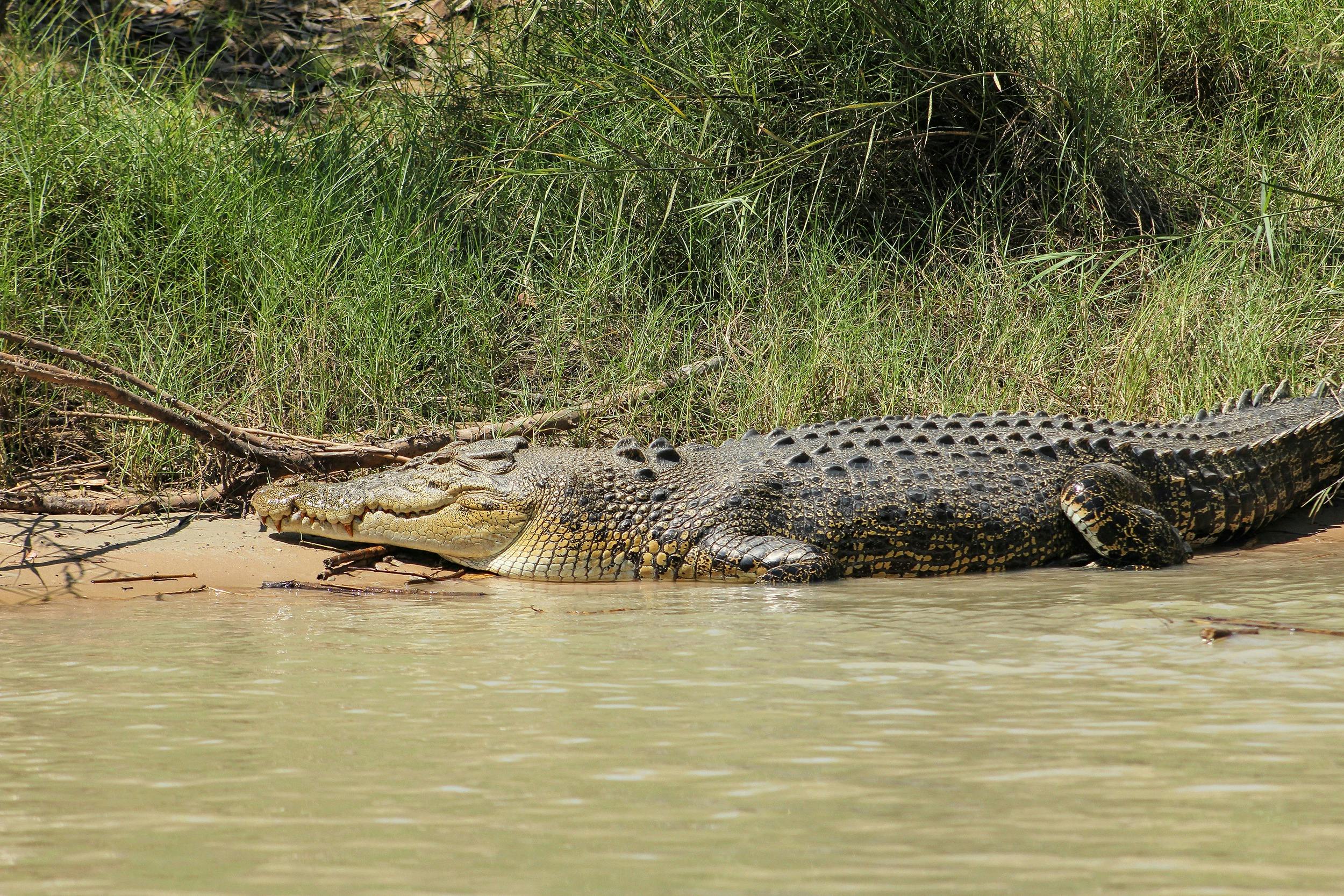 Best of the Top End & Kakadu
