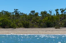 Paradice Bay