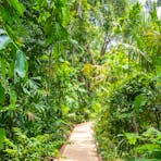 East Point Mangrove Boardwalk