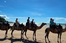 Four camels with riders walking along a tropical beach, with ocean waves and blue skies in backround