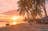 Cape York & Northern Islands - 16 days
