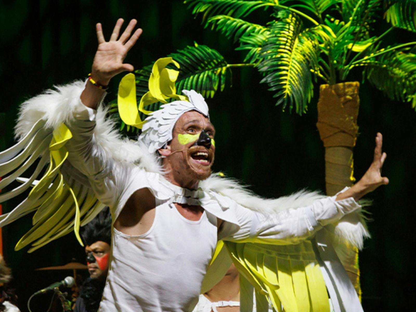 Birmba - Darwin Festival