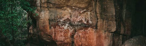 Aboriginal Art Gallery with Sacred Owl Tours