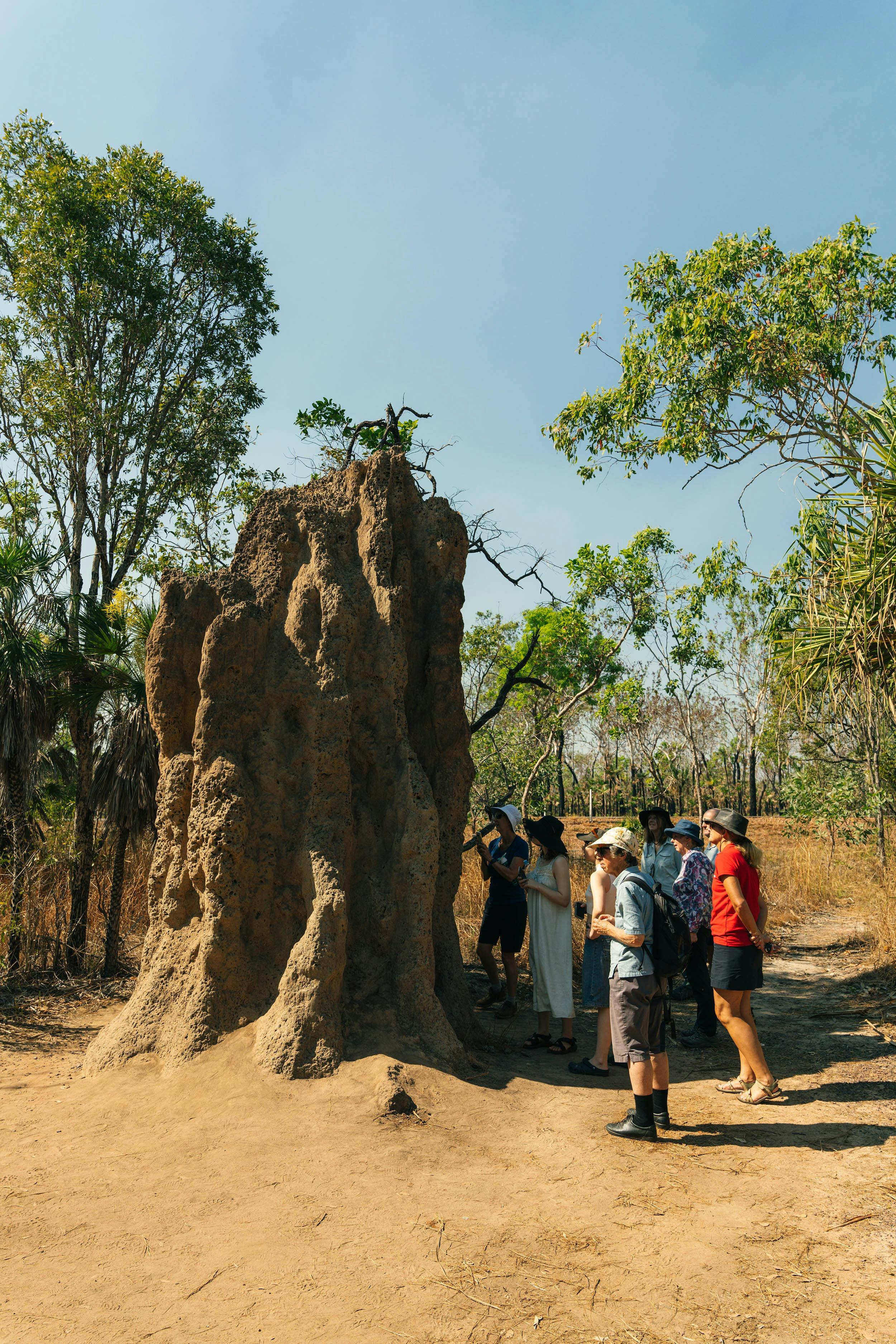 Walk Kakadu National Park