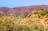 Best of the Larapinta Trail - 9 days